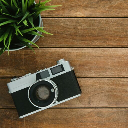 Retro camera and potted plant on wooden surface with copy space.